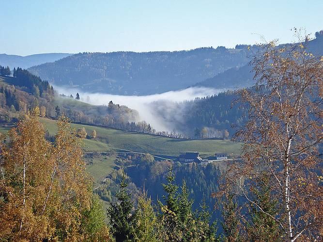 19 Am Eibeggsattel zieht der Nebel